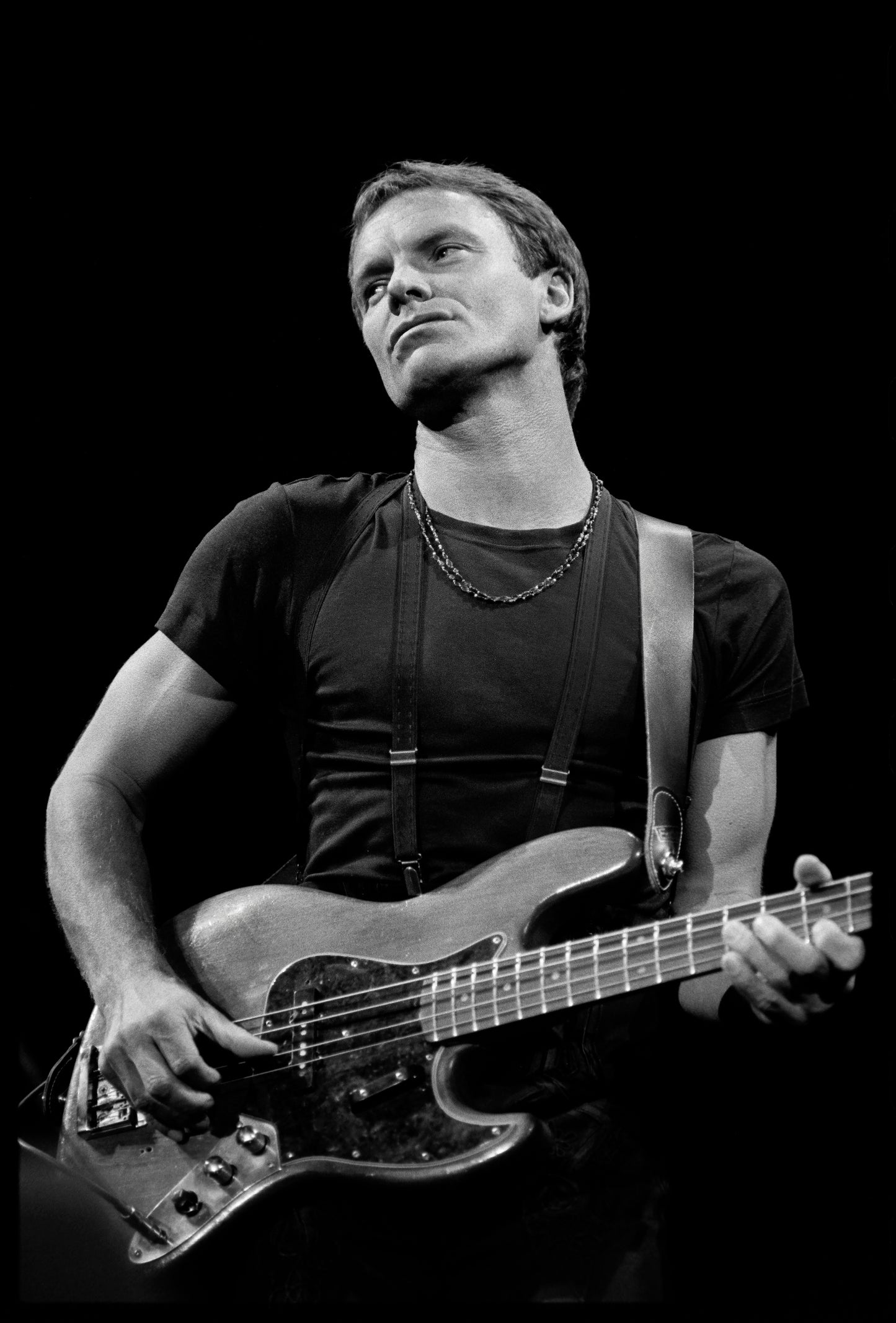 Print / Framed Print